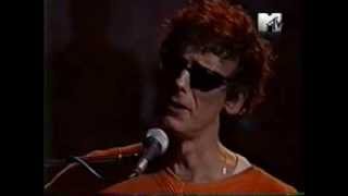 Estrelicia - 15 - Mi Sueño De Hoy