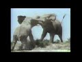 Trials Of Life BBC Turner Video Time Life VHS Commercial 1992 Violent Wildlife Nature Survival