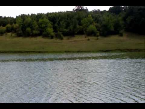 Schitu Poienari TR Romania Peisaj balta peste 1. Landscape pond fish .