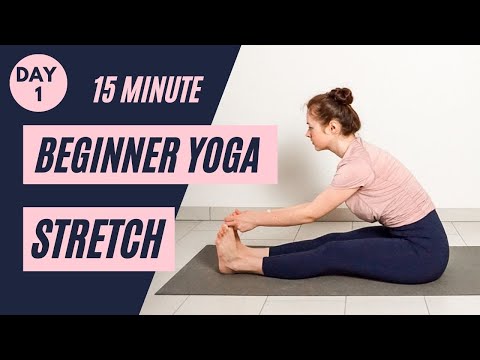 15 min FULL BODY BEGINNER YOGA STRETCH - Day 1 | Beginner Yoga Challenge | Yoga without a mat