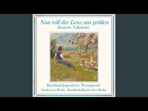 Ein Vogel wollte Hochzeit machen