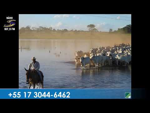 Programa: Caminho da Roça - 12/03/26 - Parte 1 - Apresentação: Paulinho