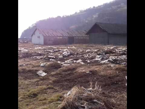 Osveta majke prirode