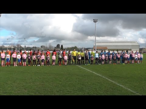 D1 Féminine - J15 - ASJ Soyaux / EA Guingamp 0-1 - 02-02-2014 - Grand Format