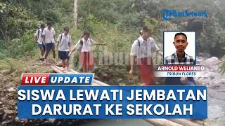 Bertaruh Nyawa Demi Sekolah, Siswa di Poma Sikka NTT Terpaksa Lewat Jembatan Bambu Rusak Setiap Hari