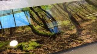 preview picture of video '360° panoramic forest photo mounted on acrylic'