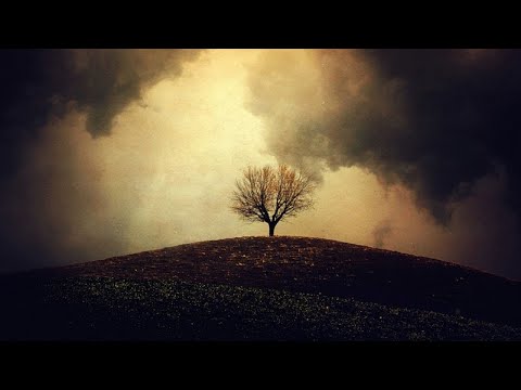 Whitesand - Fallen Leaves of Old