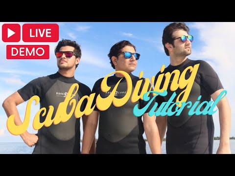 Scuba Diving Tutorial With Live Demo | Maldives