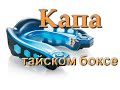 Капа для тайского бокса. Какую выбрать капу для тайского бокса? 