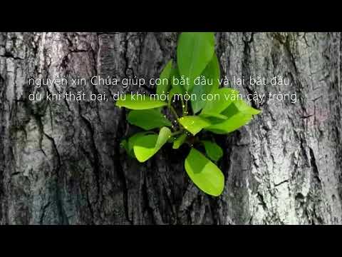 Thể hiện bởi Nhóm Du Ca