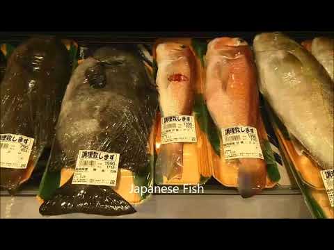 IUCN分類における絶滅の危険性を示す図。