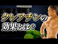 クレアチンの効果とは!?筋肉に効果絶大な理由を徹底解説【筋肥大】