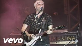 Satisfação Lyrics English Translation