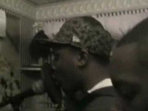 DZED PANTHA BEAR GIZMO D.M.Z