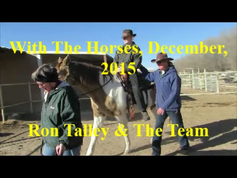 With The Horses, December, 2015 (Our Pal Sam Again) 12 28 15