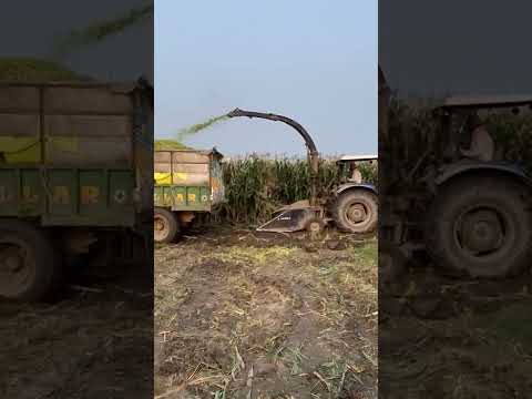 Challenger 3 Forage Harvester