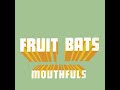 Fruit Bats - Rainbow Sign