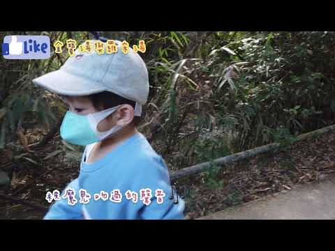 親子好去處 - 大埔九担租 遊秘點 賞紅葉