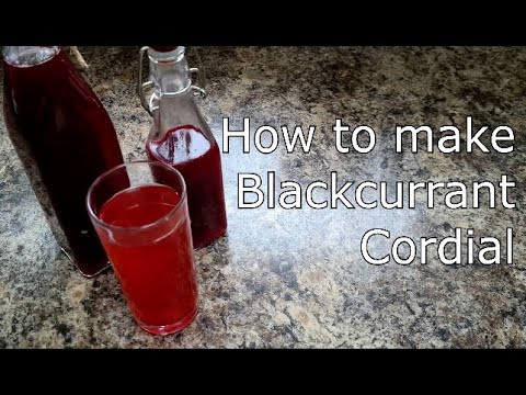 Blackcurrant Cordial