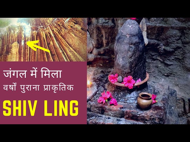 Videouttalande av हिमाचल प्रदेश Hindi