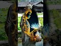 Ringtone Music Buddha Music Short Videos Music Short Videos