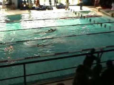 Corsico 2008: staffetta 4x100 stile