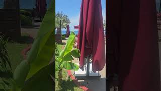 Senza sunset beach hotel Alanya территория. Отель в котором на небольшой террито