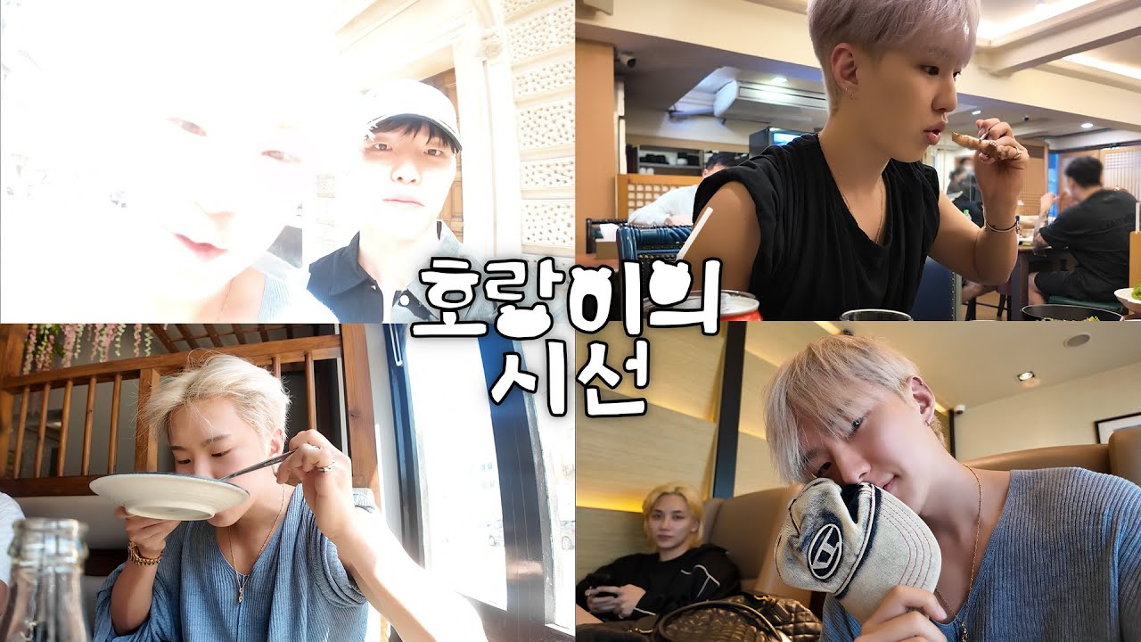 [HOSHI TAMTAM] Bath에 나타난 어노잉 호시 🍊 | 1일 1한식당🍚 | 호랑이의 시선