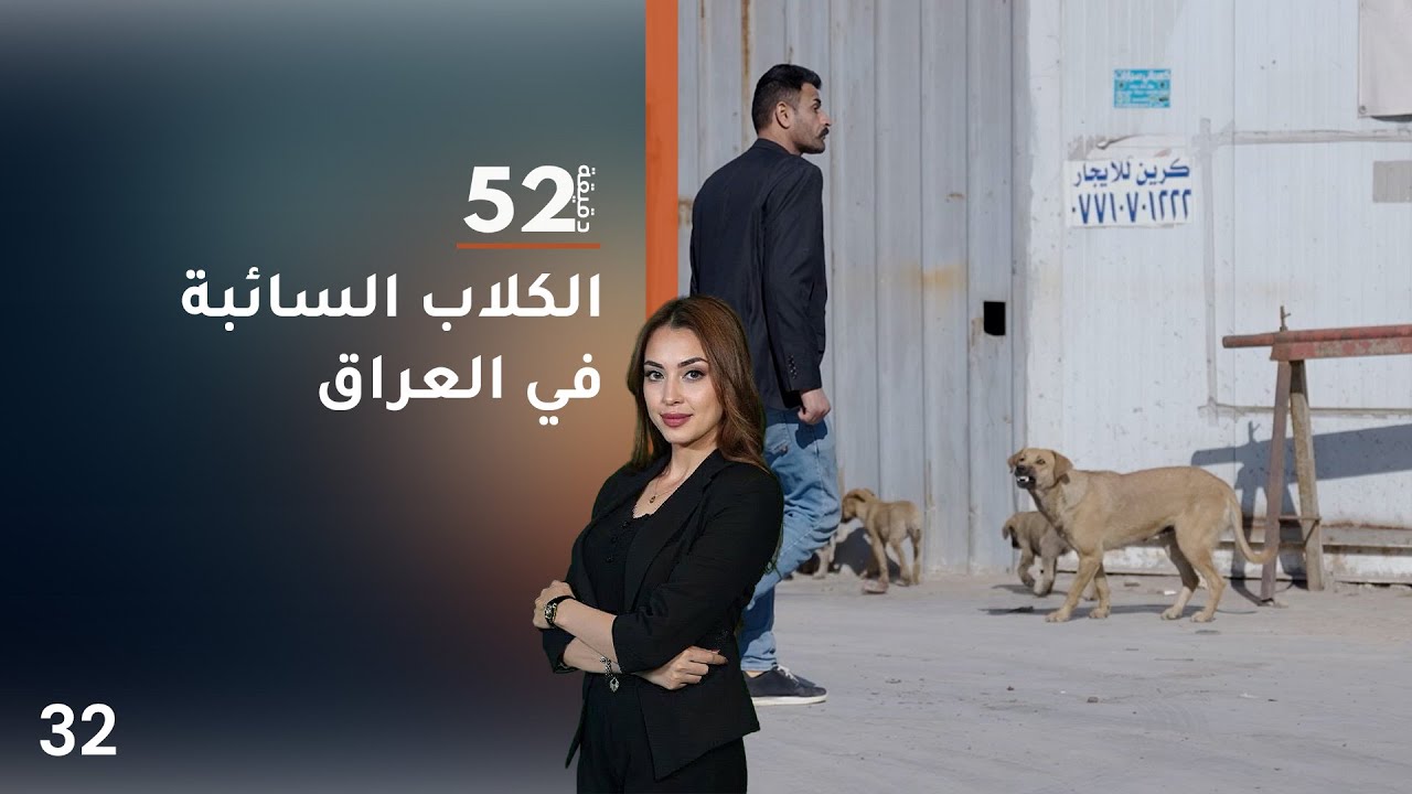 فيديو | الكلاب السائبة في العراق - 52 دقيقة م٧ - حلقة ٣٢