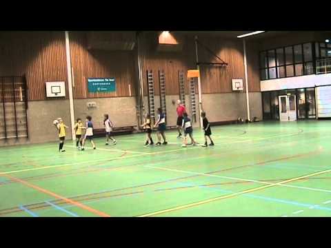 De Meervogels D4 - Die Haghe D3