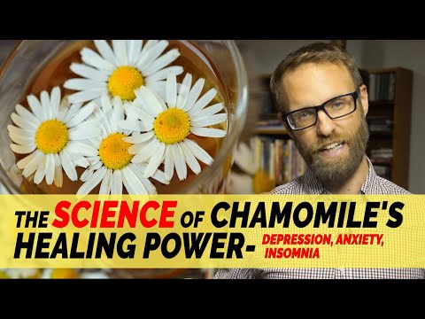 Chamomile Fact or Fiction: Does It Actually Help Anxiety, Depression and Sleep?