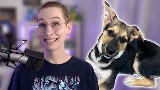 New Patch Date and I Adopted a Puppy! Saturday WoW News