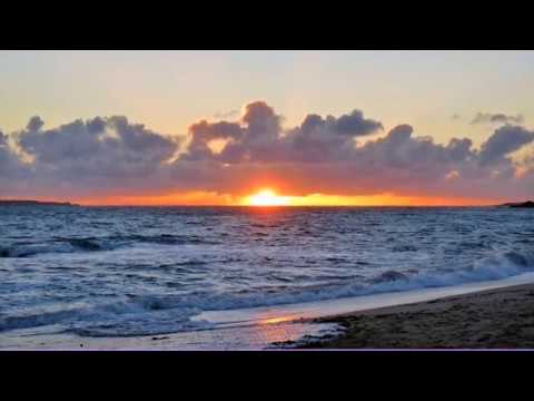 Claudio Picarella -  J'aurais dû ou Elle est entrée un jour dans ma vie.Montage Christian Wantiez.