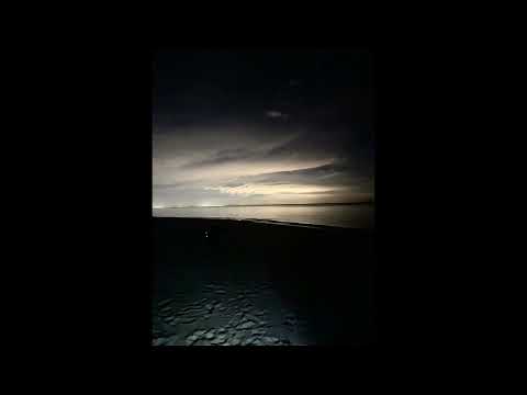 The cut that always bleeds x wildflower (slowed) TikTok mashup | Billie eilish and Conan  gray