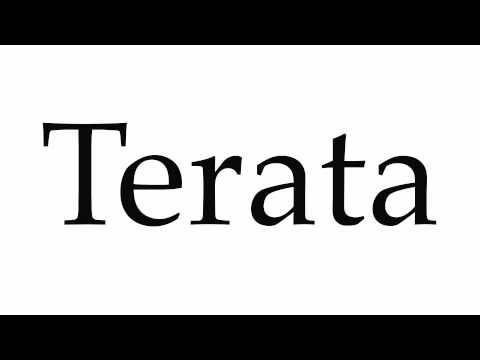How to Pronounce Terata
