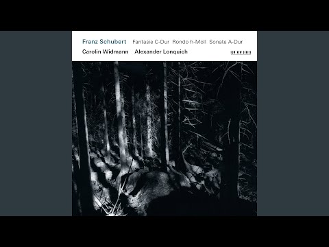 Schubert: Fantasy in C Major, D. 934: I. Andante molto –