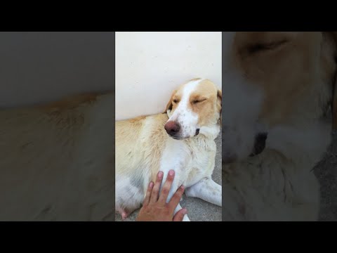 Чужих детей не бывает