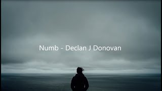 Numb - Declan J Donovan (Lyrics Video)