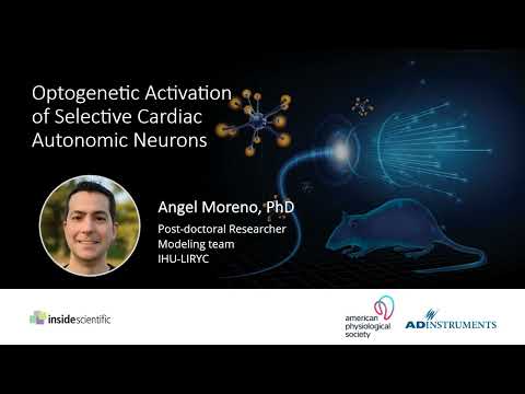 Optogenetic Activation of Selective Cardiac Autonomic Neurons