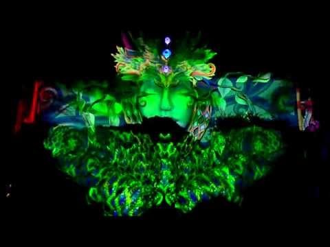 BOOM FESTIVAL 2014 dance temple Face projections with Penta DJ pt2