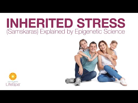 Inherited Stress (Samskaras) Explained by Epigenetic Science | Dr. John Douillard's LifeSpa