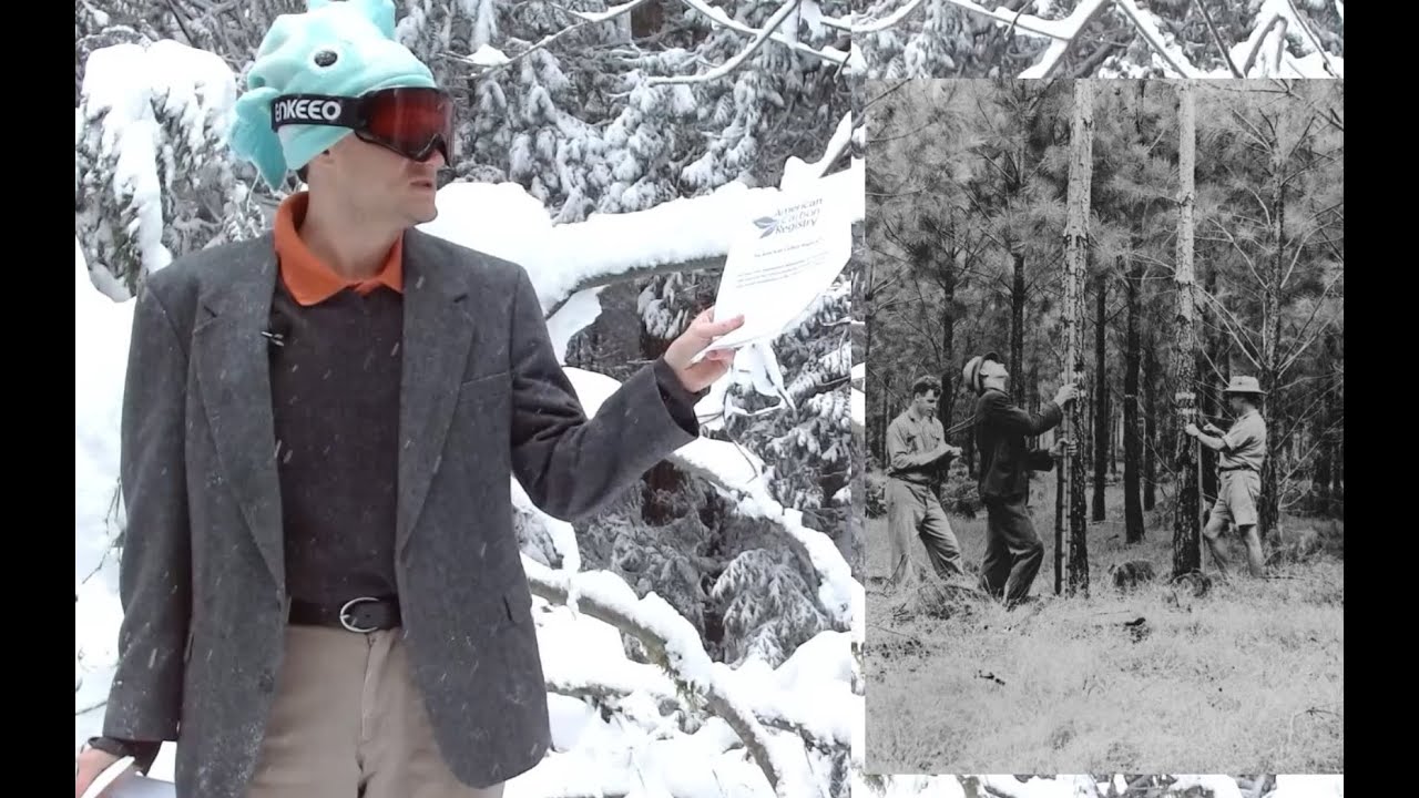 Improving Improved Forest Management protocols