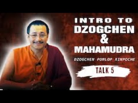 Intro to Dzogchen & Mahamudra Meditation, Part 5: Dzogchen Ponlop Rinpoche