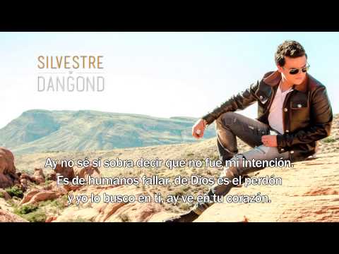 Ay Amor, Silvestre Dangond - Letra Oficial
