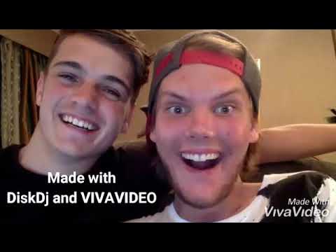 Martin Garrix x Avicii-Animals x Levels-Mashup by Devin Lawrence