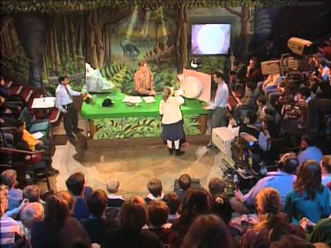 Richard Dawkins demonstrates the evolution of the eye