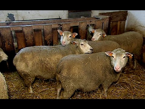 Interwencja TVP3 Rzeszów