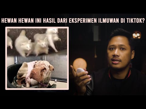 5 Kisah Nyata Mengerikan dari Internet - Part 10