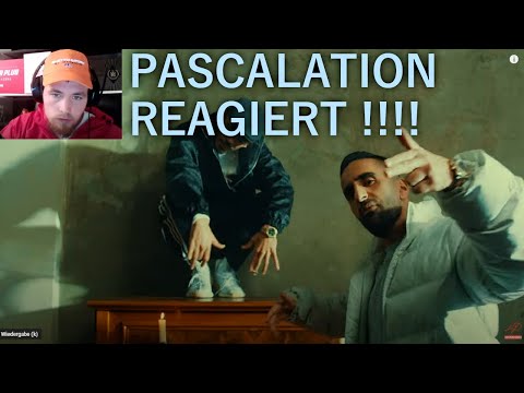 PA SPORTS & CAPITAL BRA HELL REACTION