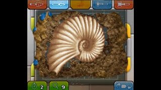 【スーパーカセキホリダー】アンモナイトパラプー１００PT無傷　ナゾのカセキ